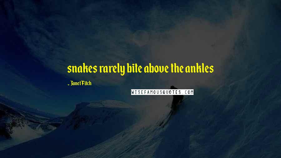 Janet Fitch Quotes: snakes rarely bite above the ankles