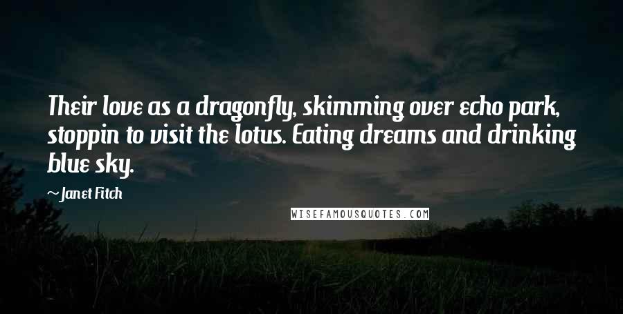 Janet Fitch Quotes: Their love as a dragonfly, skimming over echo park, stoppin to visit the lotus. Eating dreams and drinking blue sky.