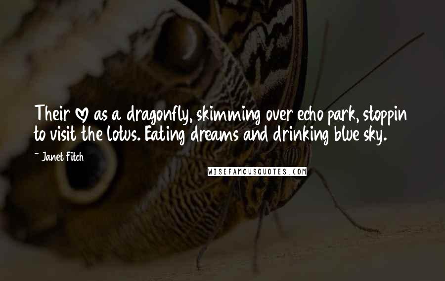 Janet Fitch Quotes: Their love as a dragonfly, skimming over echo park, stoppin to visit the lotus. Eating dreams and drinking blue sky.