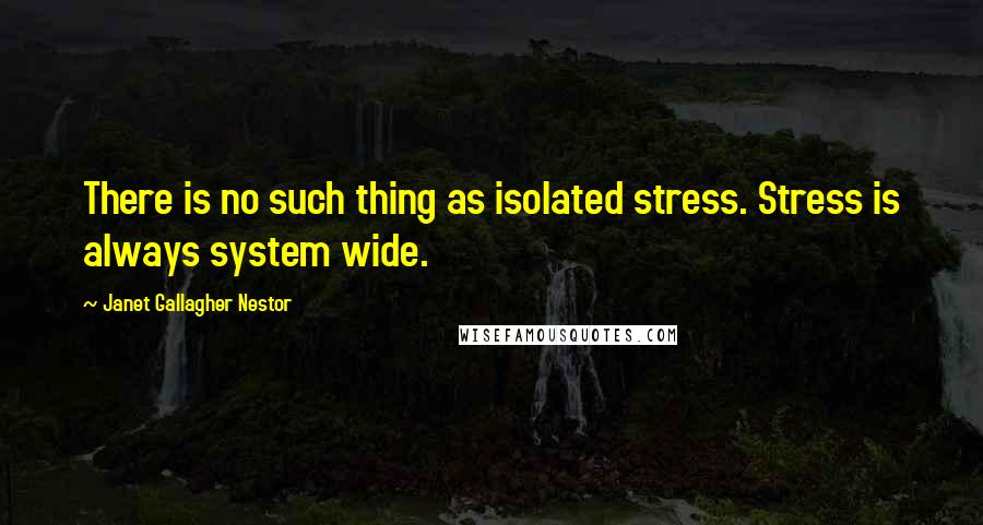 Janet Gallagher Nestor Quotes: There is no such thing as isolated stress. Stress is always system wide.