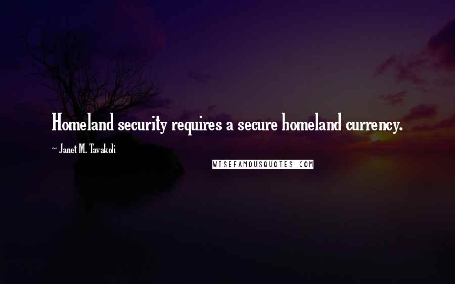 Janet M. Tavakoli Quotes: Homeland security requires a secure homeland currency.