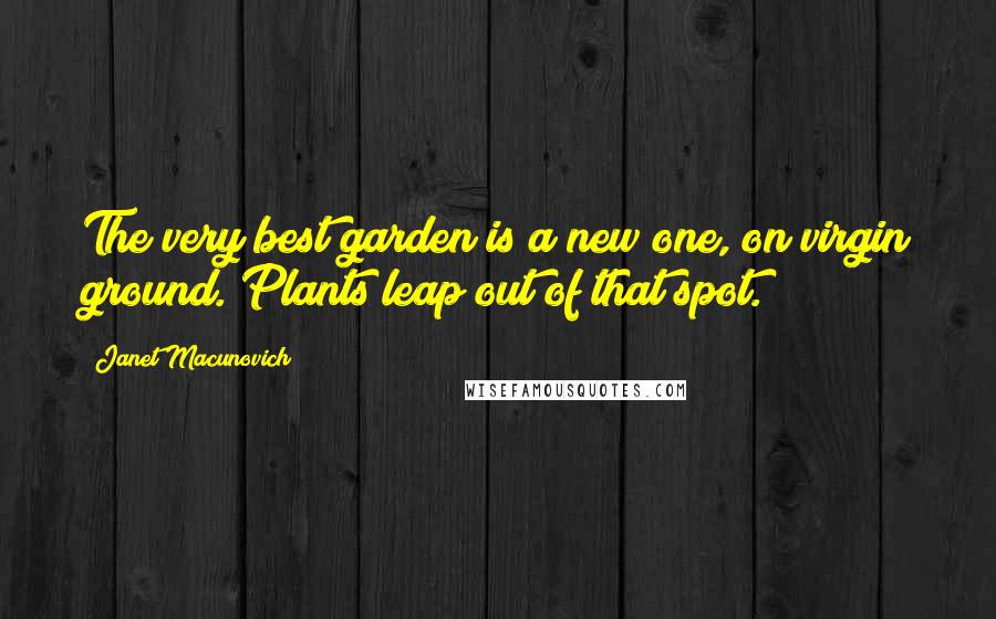 Janet Macunovich Quotes: The very best garden is a new one, on virgin ground. Plants leap out of that spot.