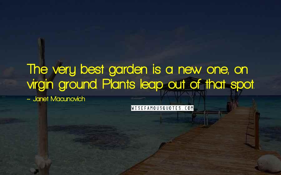 Janet Macunovich Quotes: The very best garden is a new one, on virgin ground. Plants leap out of that spot.