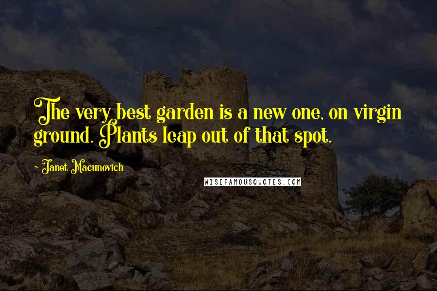 Janet Macunovich Quotes: The very best garden is a new one, on virgin ground. Plants leap out of that spot.