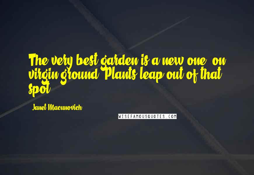 Janet Macunovich Quotes: The very best garden is a new one, on virgin ground. Plants leap out of that spot.