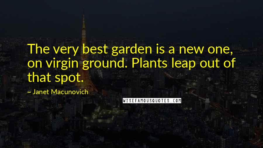 Janet Macunovich Quotes: The very best garden is a new one, on virgin ground. Plants leap out of that spot.