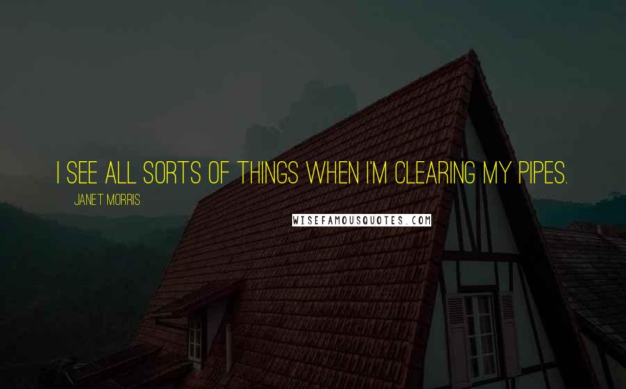 Janet Morris Quotes: I see all sorts of things when I'm clearing my pipes.