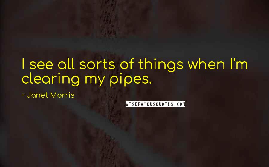 Janet Morris Quotes: I see all sorts of things when I'm clearing my pipes.