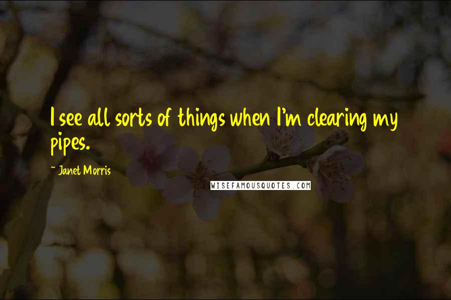 Janet Morris Quotes: I see all sorts of things when I'm clearing my pipes.