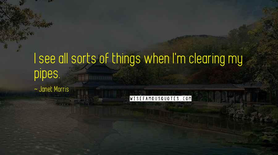 Janet Morris Quotes: I see all sorts of things when I'm clearing my pipes.