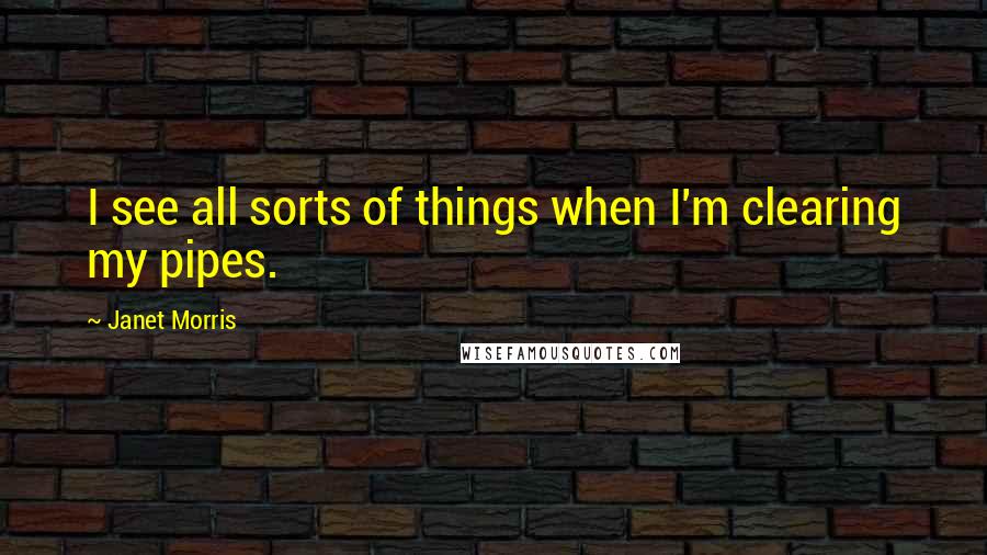 Janet Morris Quotes: I see all sorts of things when I'm clearing my pipes.