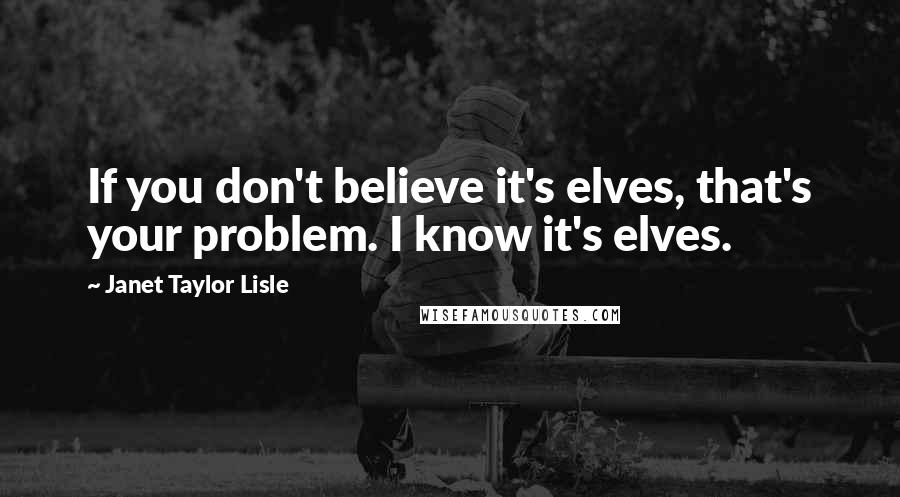 Janet Taylor Lisle Quotes: If you don't believe it's elves, that's your problem. I know it's elves.