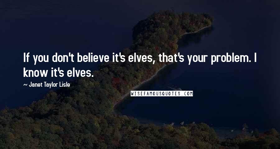 Janet Taylor Lisle Quotes: If you don't believe it's elves, that's your problem. I know it's elves.