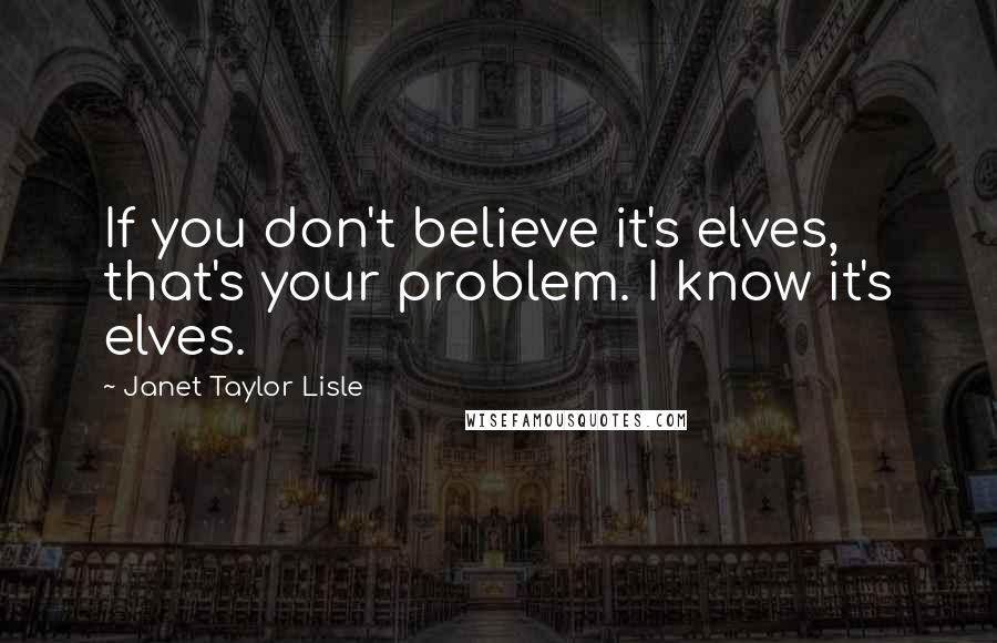 Janet Taylor Lisle Quotes: If you don't believe it's elves, that's your problem. I know it's elves.