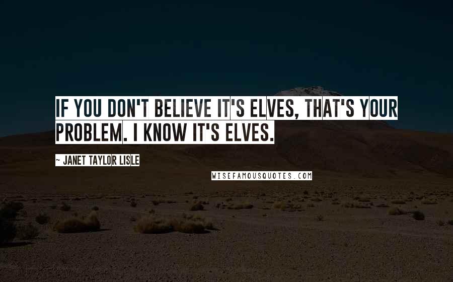 Janet Taylor Lisle Quotes: If you don't believe it's elves, that's your problem. I know it's elves.