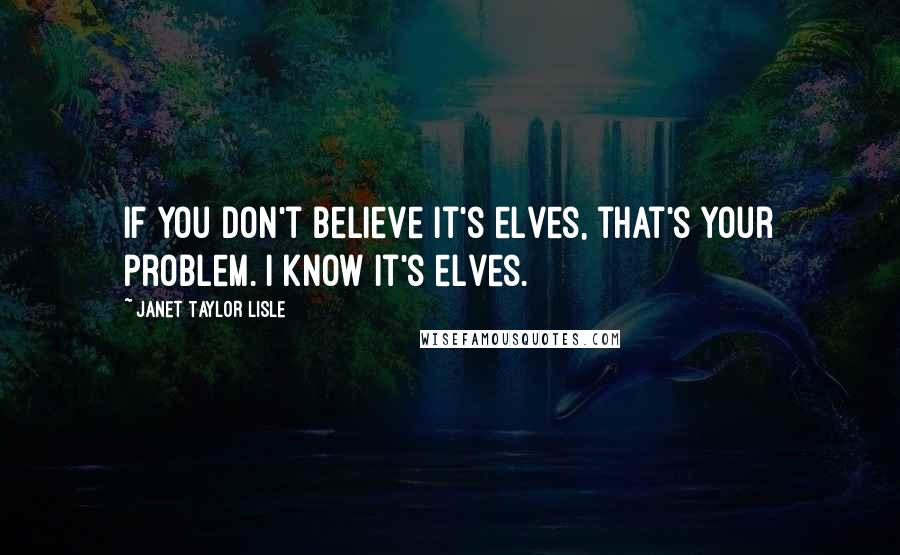 Janet Taylor Lisle Quotes: If you don't believe it's elves, that's your problem. I know it's elves.