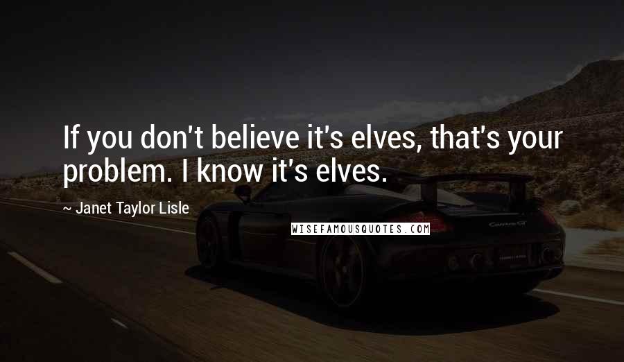 Janet Taylor Lisle Quotes: If you don't believe it's elves, that's your problem. I know it's elves.