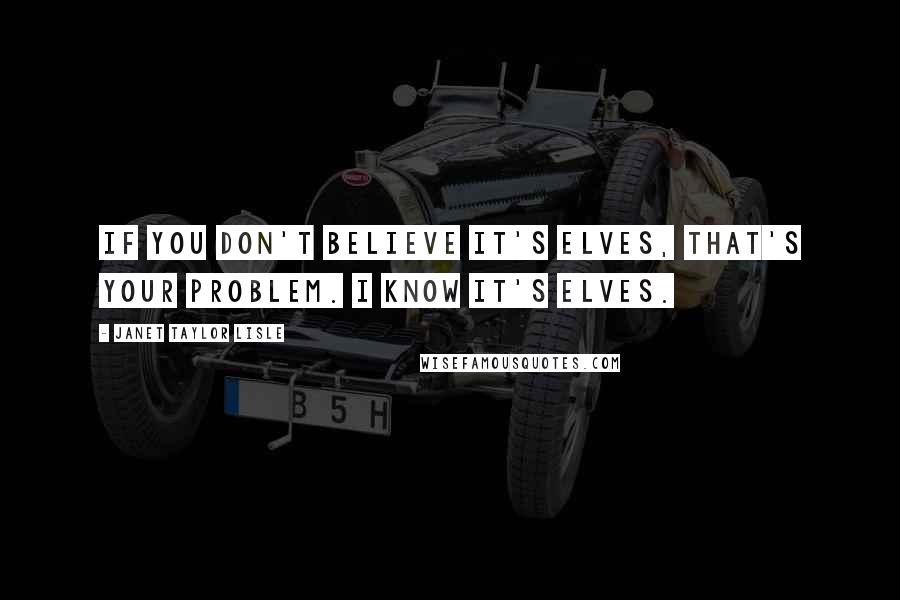 Janet Taylor Lisle Quotes: If you don't believe it's elves, that's your problem. I know it's elves.