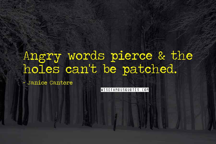 Janice Cantore Quotes: Angry words pierce & the holes can't be patched.