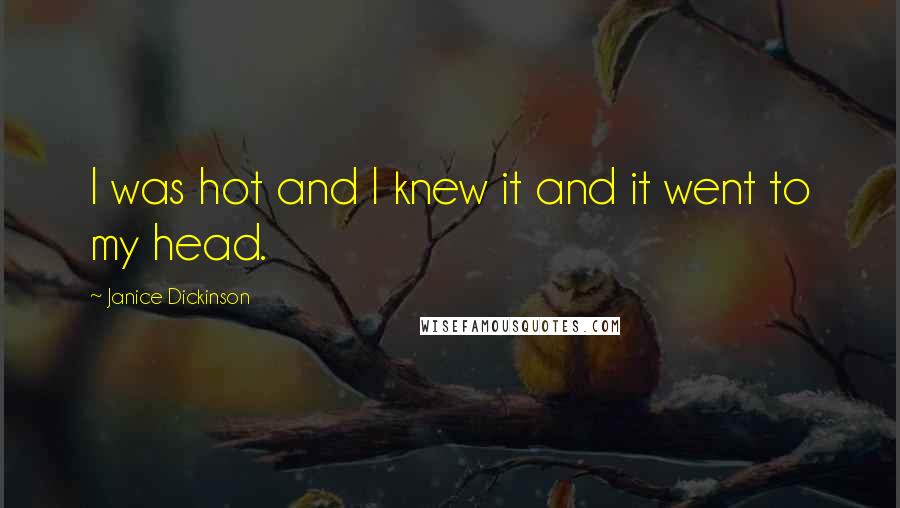 Janice Dickinson Quotes: I was hot and I knew it and it went to my head.