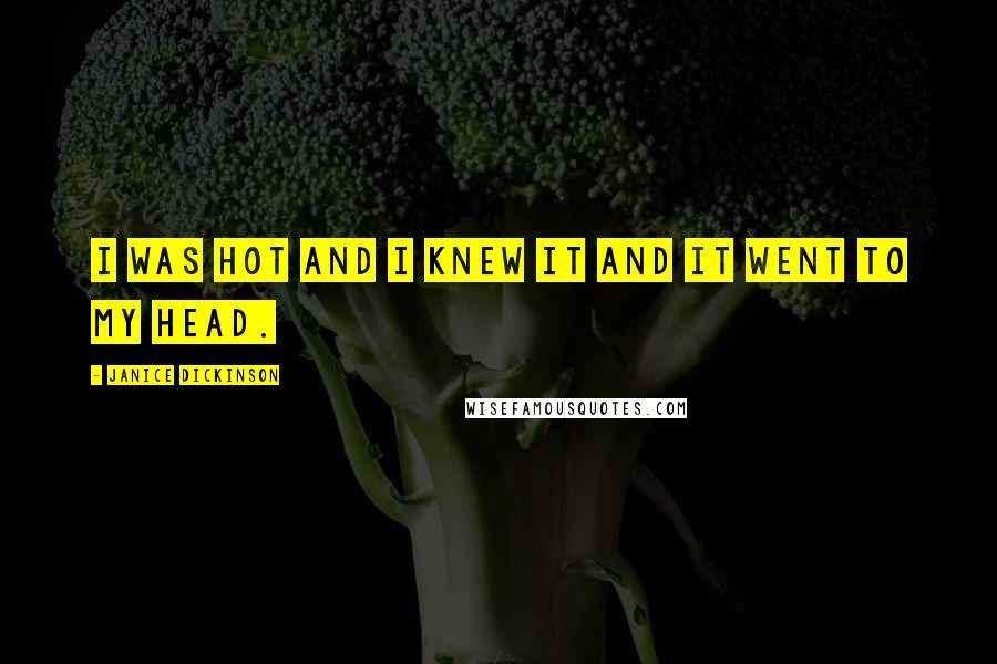 Janice Dickinson Quotes: I was hot and I knew it and it went to my head.