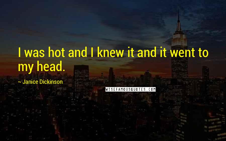 Janice Dickinson Quotes: I was hot and I knew it and it went to my head.