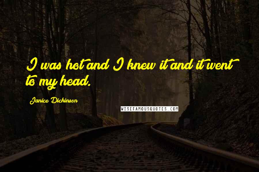 Janice Dickinson Quotes: I was hot and I knew it and it went to my head.