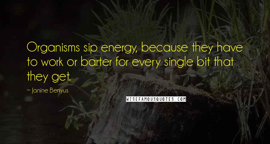 Janine Benyus Quotes: Organisms sip energy, because they have to work or barter for every single bit that they get.