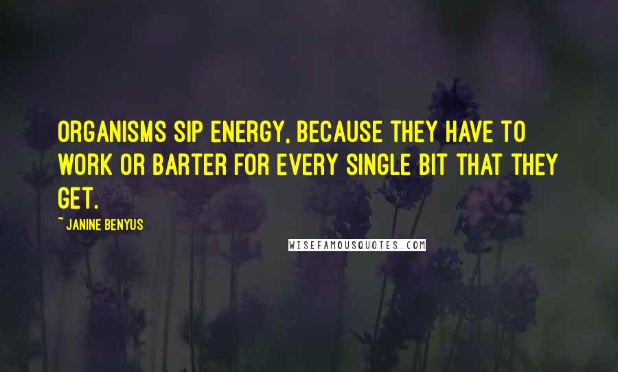 Janine Benyus Quotes: Organisms sip energy, because they have to work or barter for every single bit that they get.