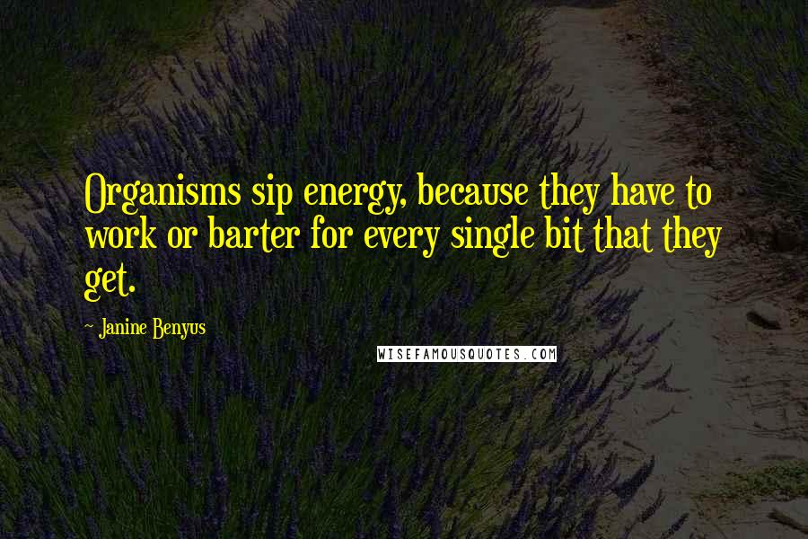 Janine Benyus Quotes: Organisms sip energy, because they have to work or barter for every single bit that they get.