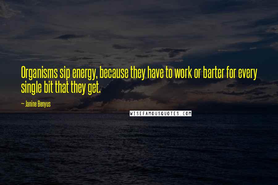 Janine Benyus Quotes: Organisms sip energy, because they have to work or barter for every single bit that they get.