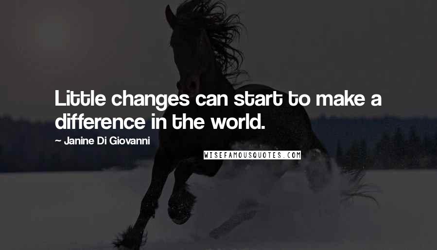 Janine Di Giovanni Quotes: Little changes can start to make a difference in the world.