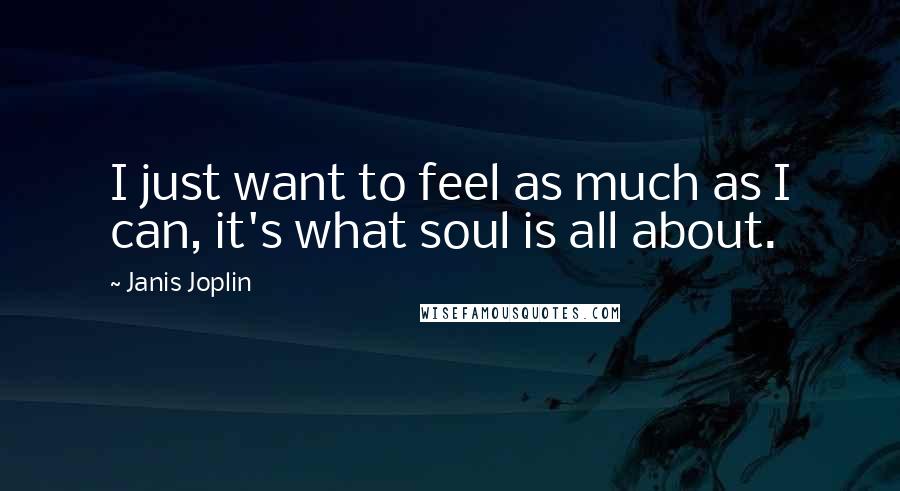 Janis Joplin Quotes: I just want to feel as much as I can, it's what soul is all about.