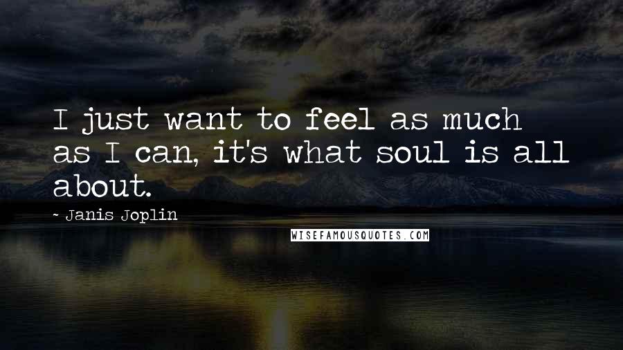 Janis Joplin Quotes: I just want to feel as much as I can, it's what soul is all about.