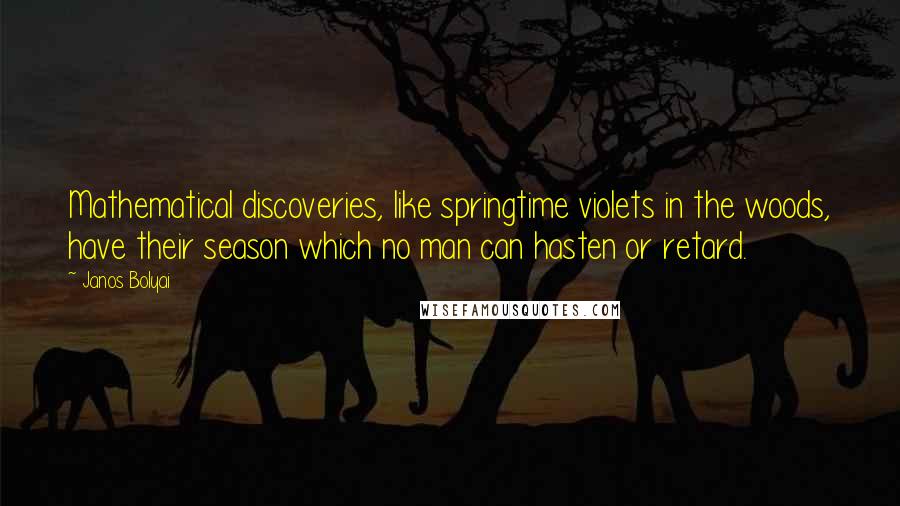 Janos Bolyai Quotes: Mathematical discoveries, like springtime violets in the woods, have their season which no man can hasten or retard.