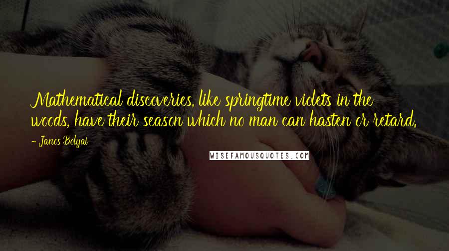 Janos Bolyai Quotes: Mathematical discoveries, like springtime violets in the woods, have their season which no man can hasten or retard.