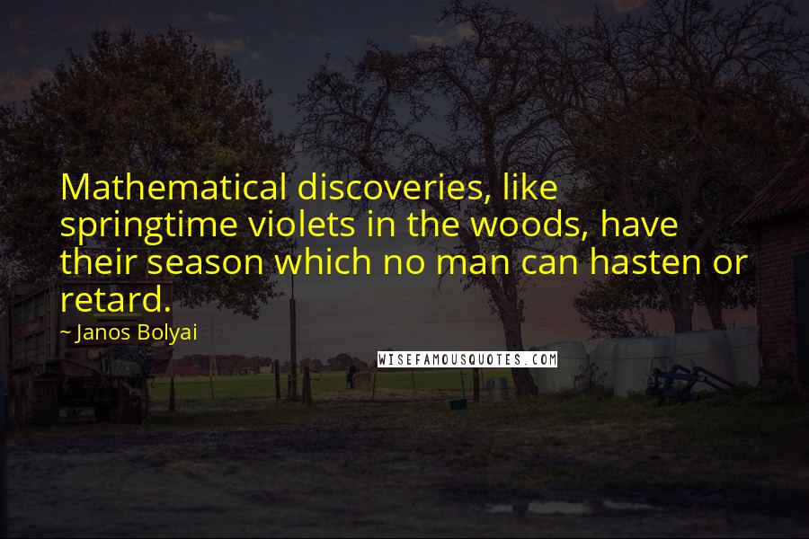 Janos Bolyai Quotes: Mathematical discoveries, like springtime violets in the woods, have their season which no man can hasten or retard.