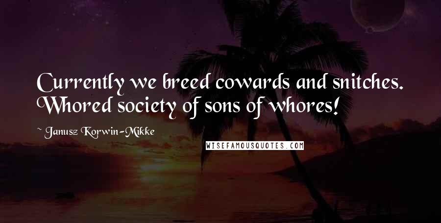 Janusz Korwin-Mikke Quotes: Currently we breed cowards and snitches. Whored society of sons of whores!