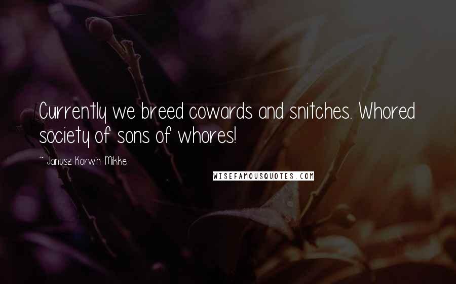 Janusz Korwin-Mikke Quotes: Currently we breed cowards and snitches. Whored society of sons of whores!