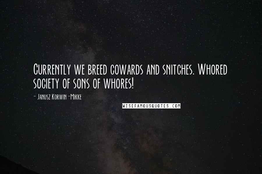 Janusz Korwin-Mikke Quotes: Currently we breed cowards and snitches. Whored society of sons of whores!