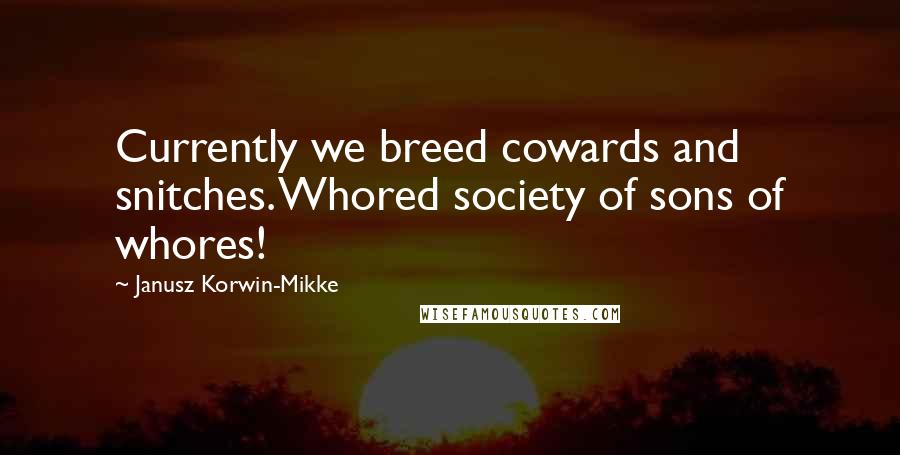 Janusz Korwin-Mikke Quotes: Currently we breed cowards and snitches. Whored society of sons of whores!