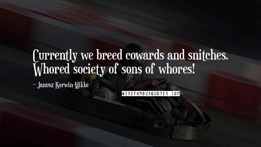 Janusz Korwin-Mikke Quotes: Currently we breed cowards and snitches. Whored society of sons of whores!