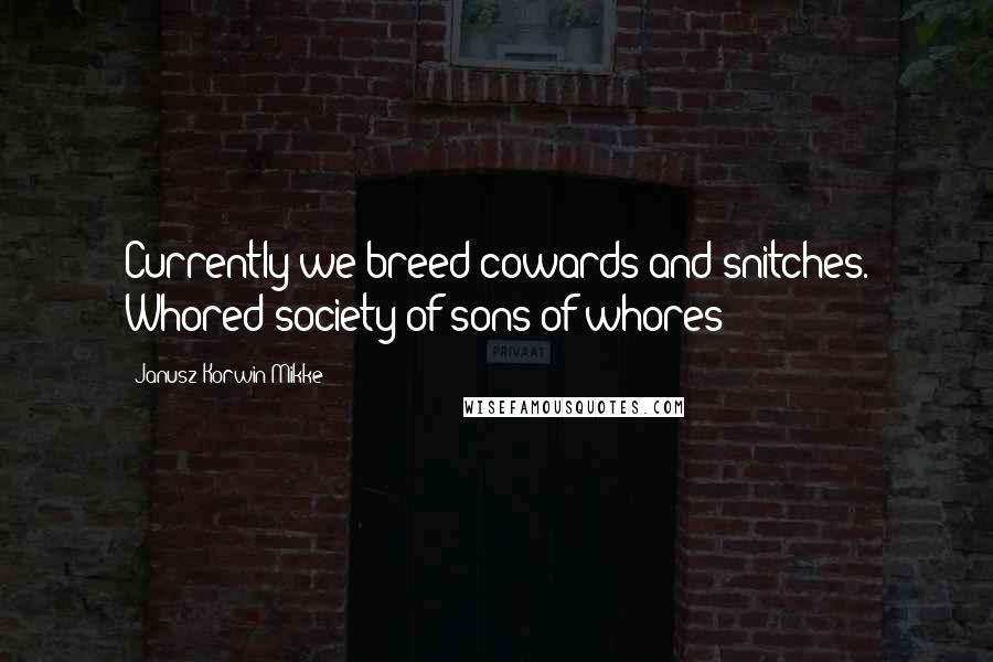 Janusz Korwin-Mikke Quotes: Currently we breed cowards and snitches. Whored society of sons of whores!