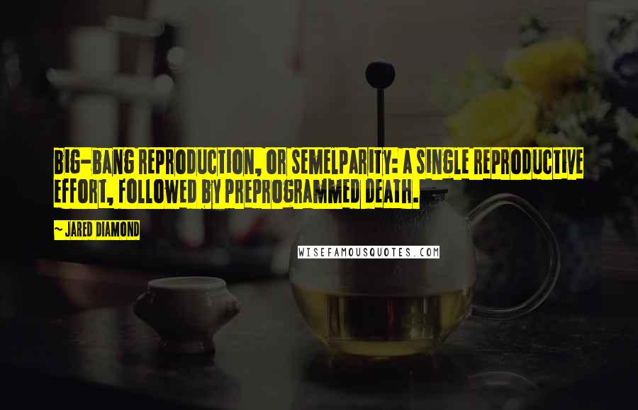 Jared Diamond Quotes: big-bang reproduction, or semelparity: a single reproductive effort, followed by preprogrammed death.