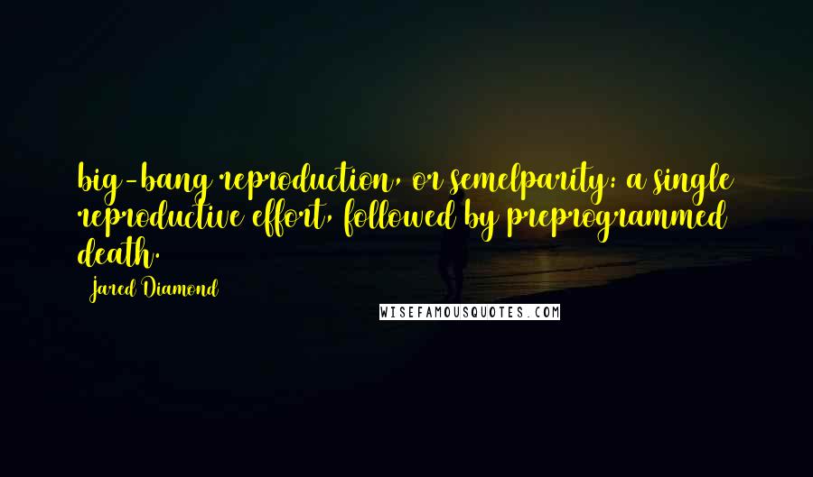 Jared Diamond Quotes: big-bang reproduction, or semelparity: a single reproductive effort, followed by preprogrammed death.