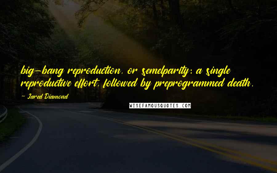 Jared Diamond Quotes: big-bang reproduction, or semelparity: a single reproductive effort, followed by preprogrammed death.