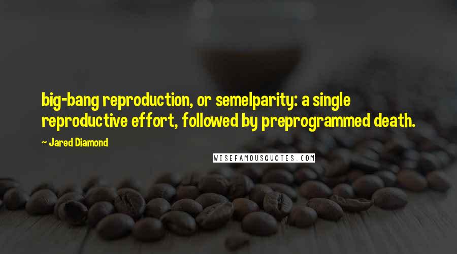 Jared Diamond Quotes: big-bang reproduction, or semelparity: a single reproductive effort, followed by preprogrammed death.