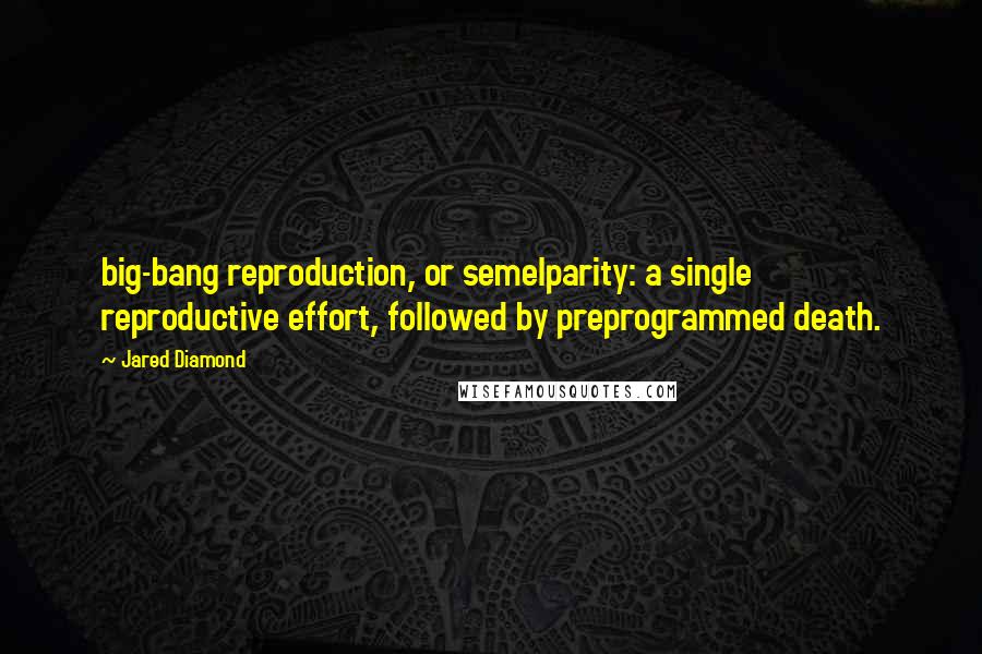 Jared Diamond Quotes: big-bang reproduction, or semelparity: a single reproductive effort, followed by preprogrammed death.