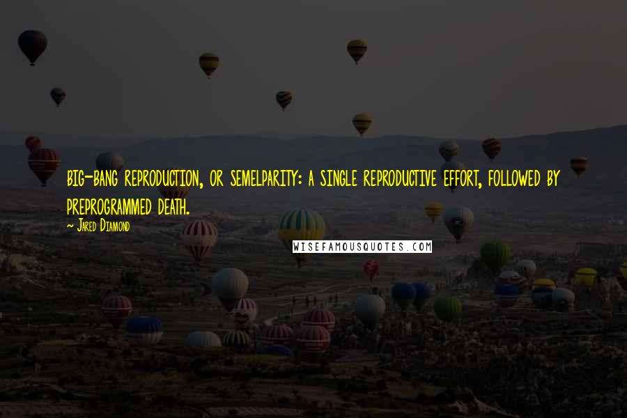 Jared Diamond Quotes: big-bang reproduction, or semelparity: a single reproductive effort, followed by preprogrammed death.