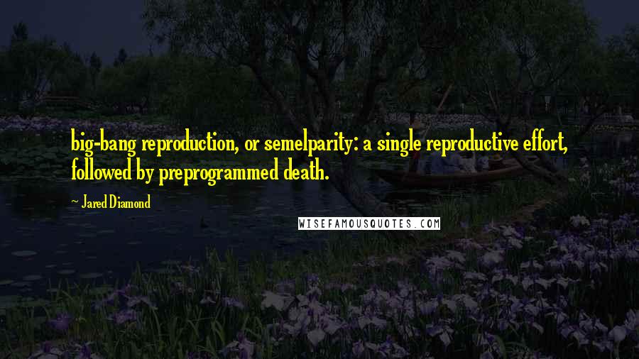 Jared Diamond Quotes: big-bang reproduction, or semelparity: a single reproductive effort, followed by preprogrammed death.